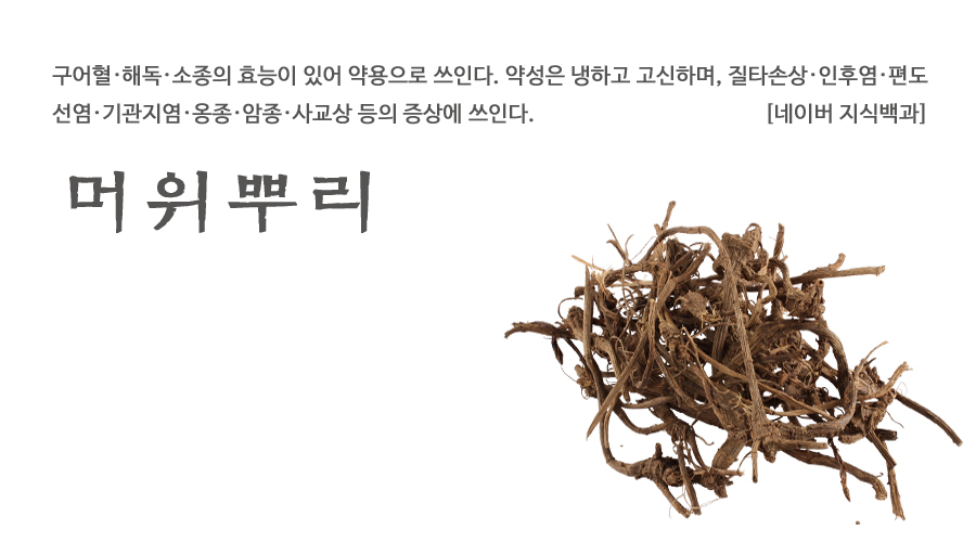 국산 머위뿌리 600g - 상세 이미지 2