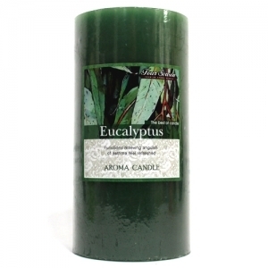 향초필라 필라향초3x6인치(약90시간) 유칼립투스/009213