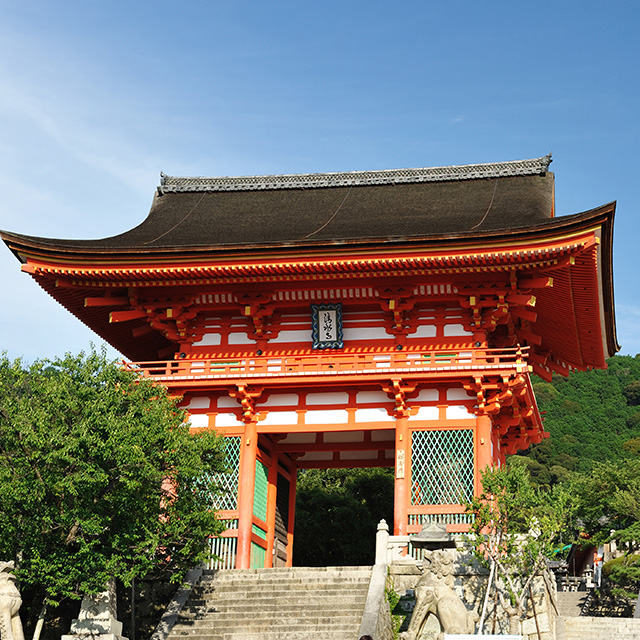 오사카 교토 일일 버스투어 여행 후시미이나리 아라시야마 은각사 청수사 철학의길