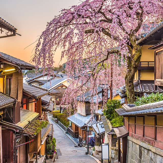 오사카 교토 일일 버스투어 여행 후시미이나리 아라시야마 은각사 청수사 철학의길