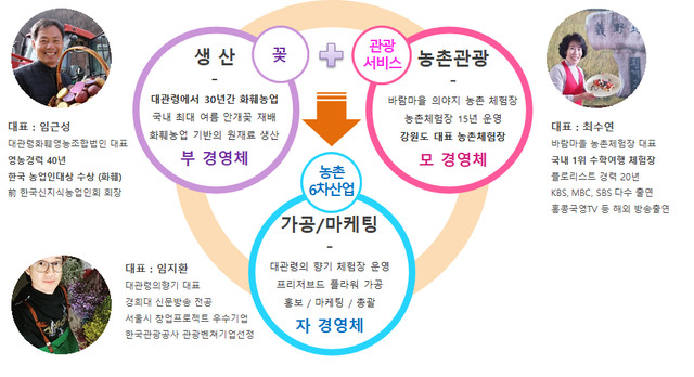 대관령농산물판매 이미지