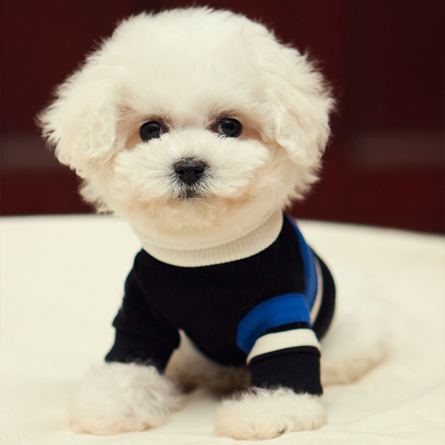 디어우 강아지 목폴라티 실내복 면 티셔츠 편한 애견 옷 소형견 중형견 - 상품 이미지