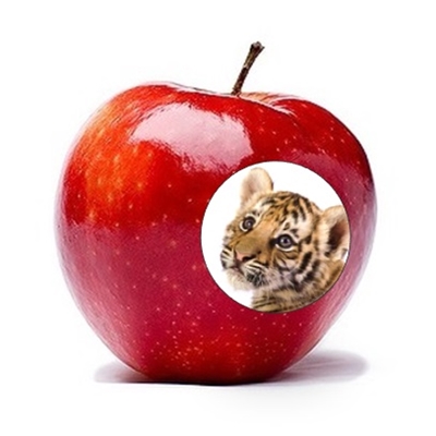 애플타이거 스토어 로고