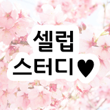 셀럽스터디 스토어 로고