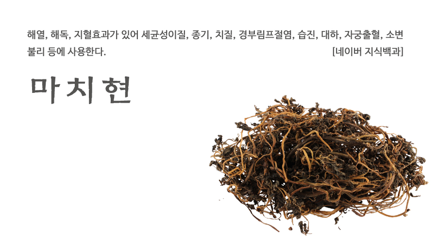 국산 마치현 말린 건조 쇠비름 300g - 상세 이미지 2