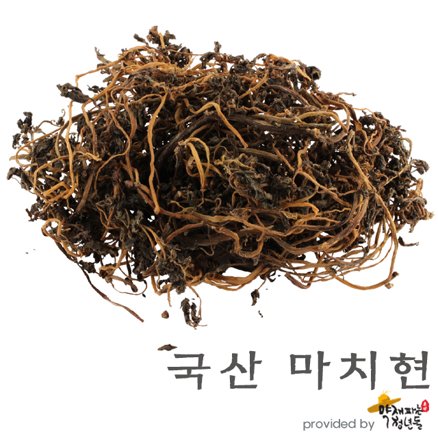 국산 마치현 말린 건조 쇠비름 600g - 상품 이미지