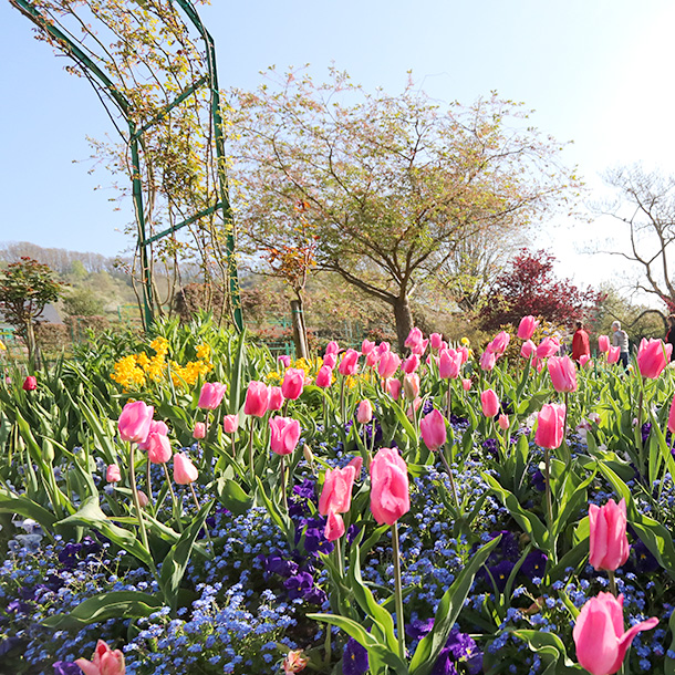 프랑스 파리 지베르니 베르사유 차량 버스 투어 고흐 오베르 성당 - 상세 이미지 4