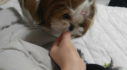 thumbnail-7