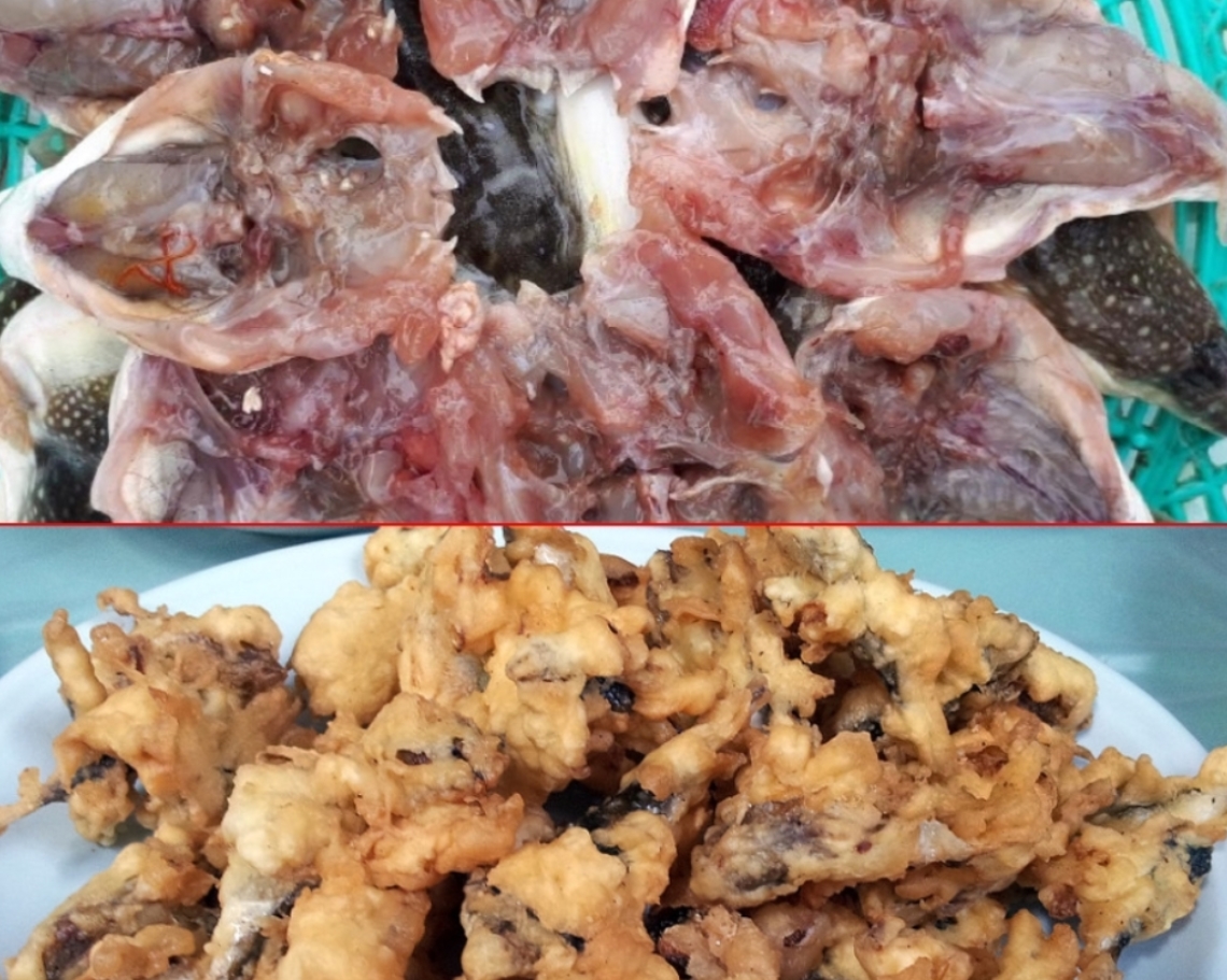 말린쫄복 500g 건조복어 생선매운탕 복어튀김 - 상세 이미지 4