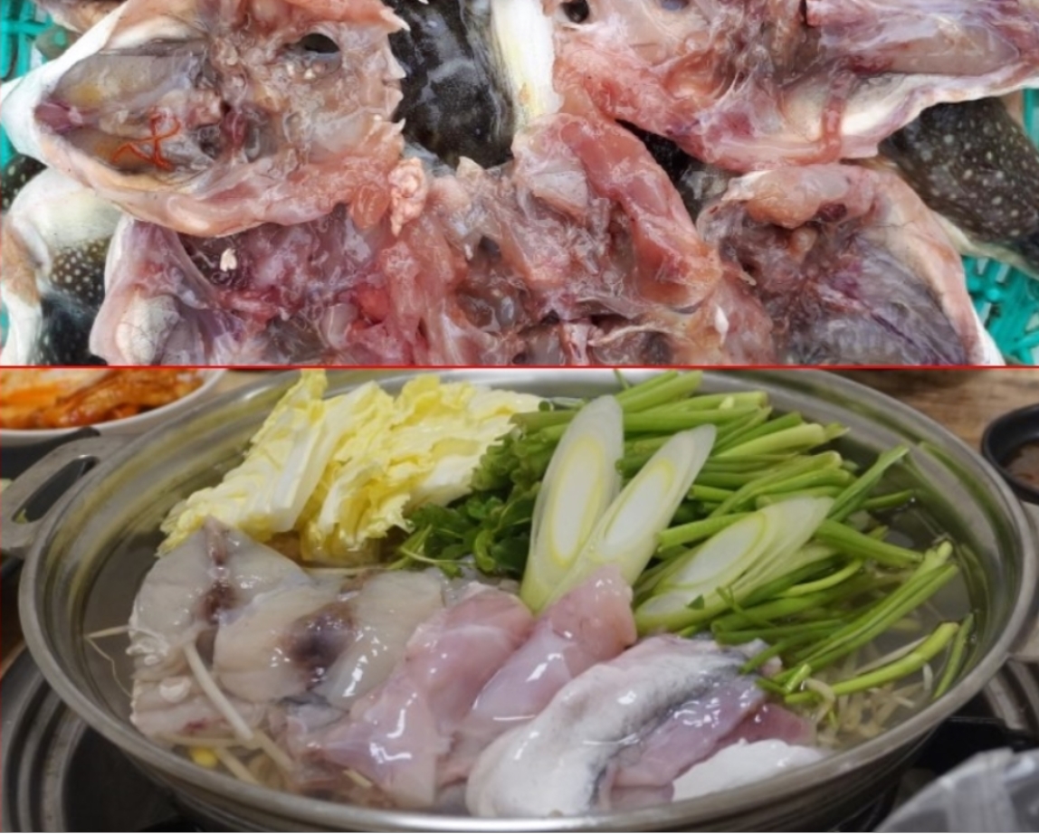 말린쫄복 500g 건조복어 생선매운탕 복어튀김 - 상세 이미지 5