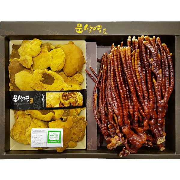 유기농 상황버섯 270g, 녹각영지버섯 220g