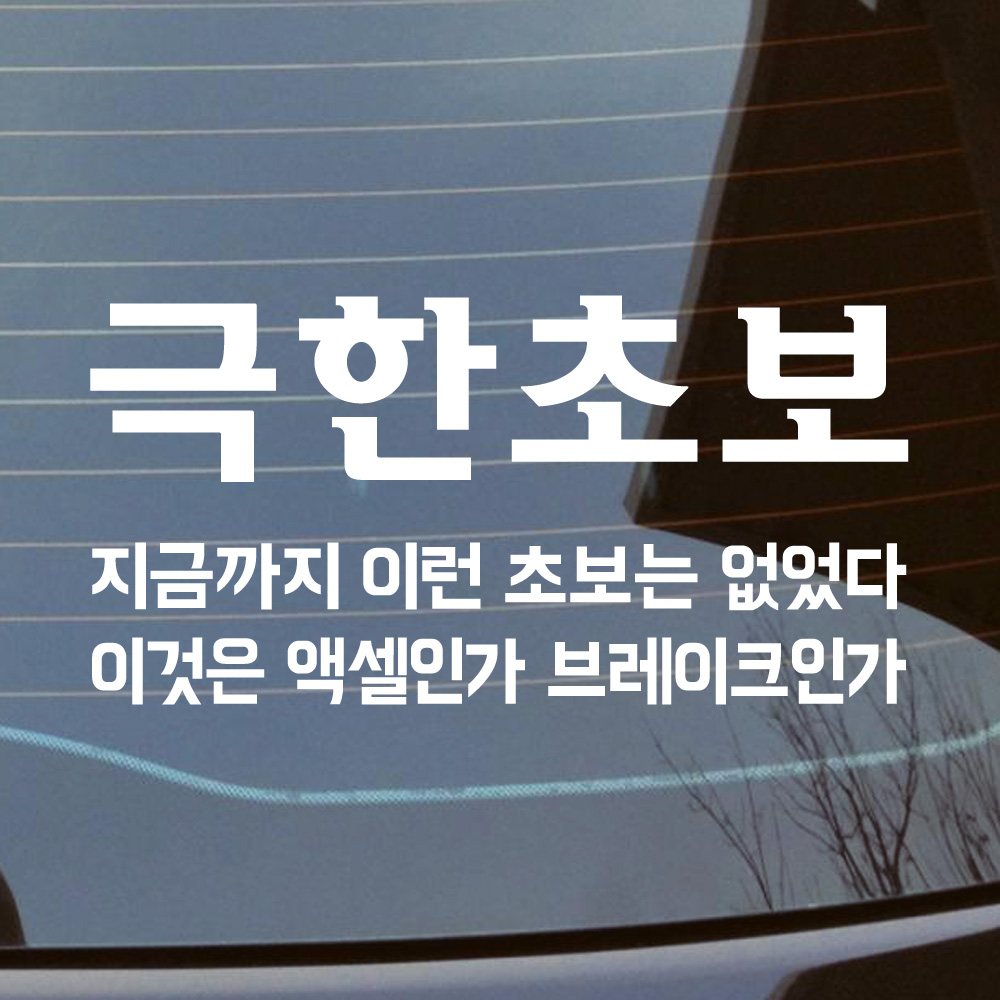 극한초보 초보운전 스티커 - 상세 이미지 3