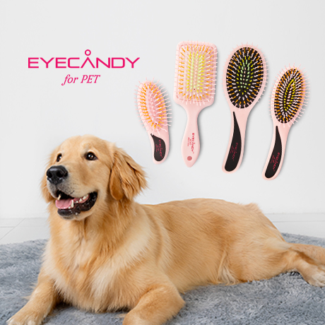 아이캔디 레인보우 브러쉬 for PET 펫브러쉬 강아지 애견빗 (사이즈-미니)