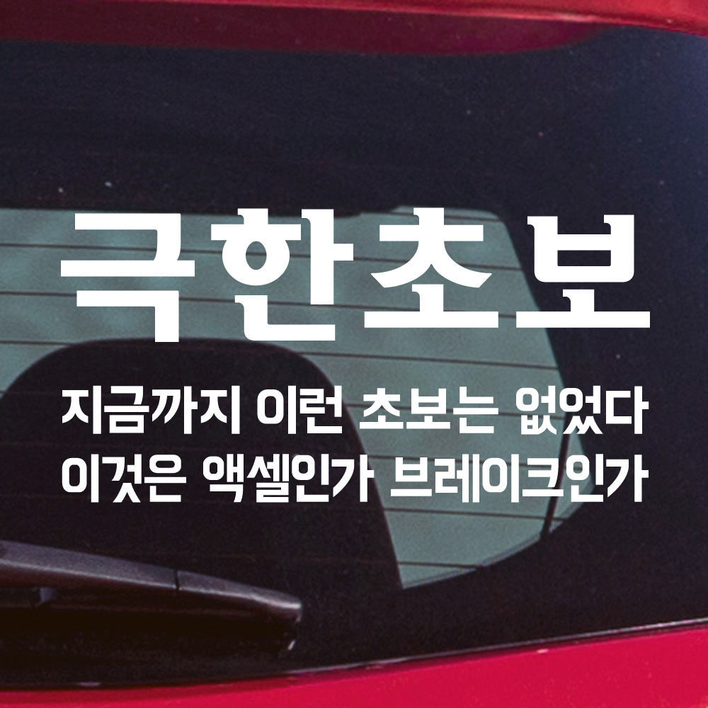 극한초보 초보운전 스티커 - 상품 이미지