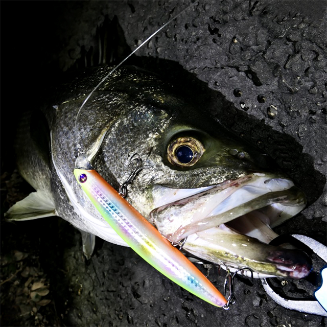 다미끼 엑스 드레이크 125mm 미노우 - 상품 이미지