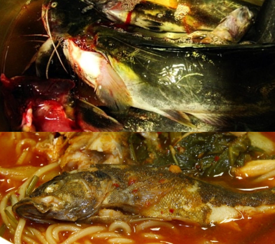자연산메기 민물메기1kg 메기매운탕 매기 민물고기 - 상세 이미지 3