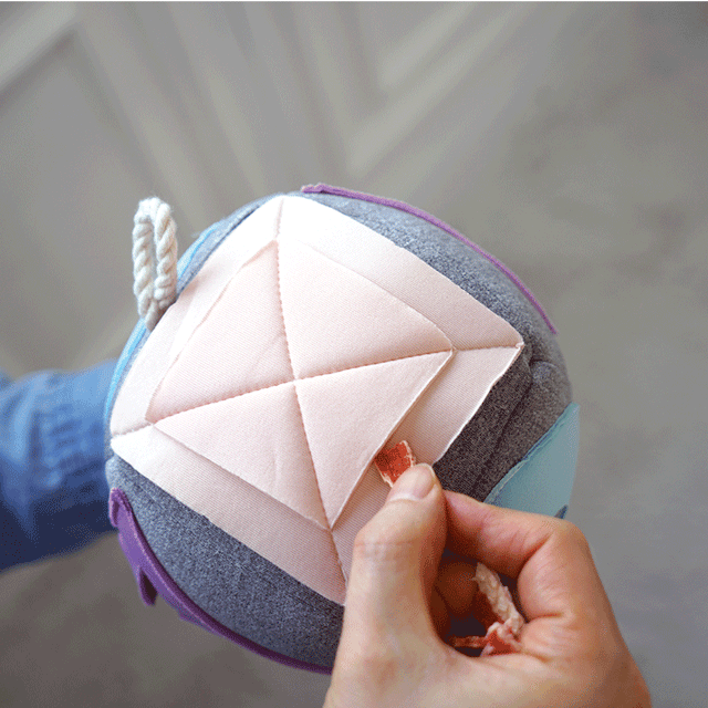 더플래 강아지 노즈워크 코박고 킁킁볼 장난감