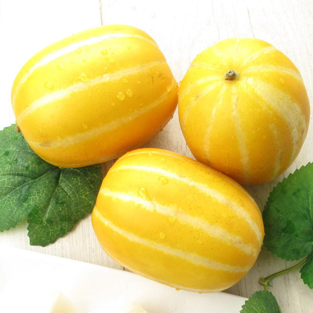 농협 정품 성주참외 2kg 3kg(로얄과) 꿀참외