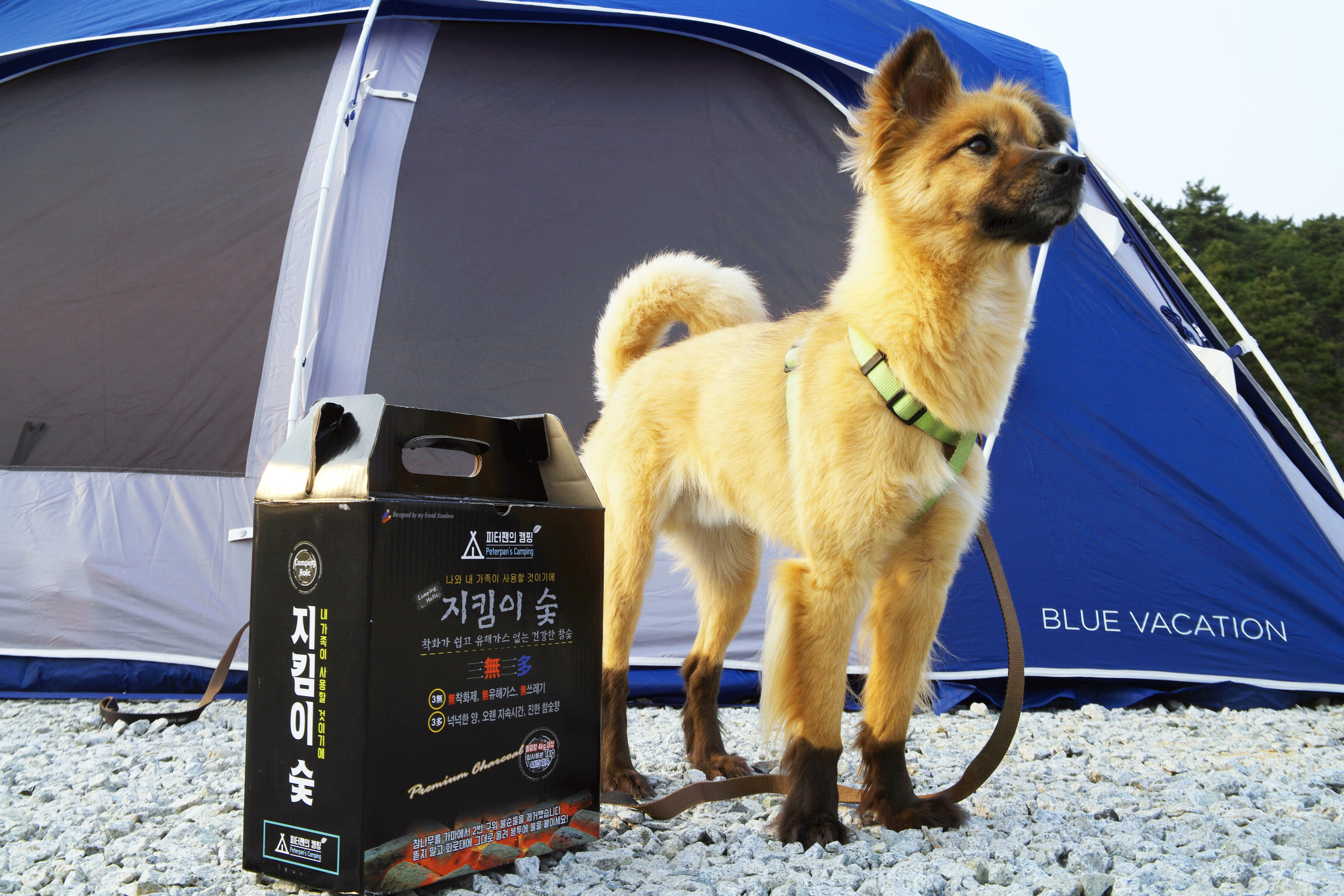 캠핑 지킴이 숯 고품질 백탄 참숯을 두번구워 만든 건강한숯