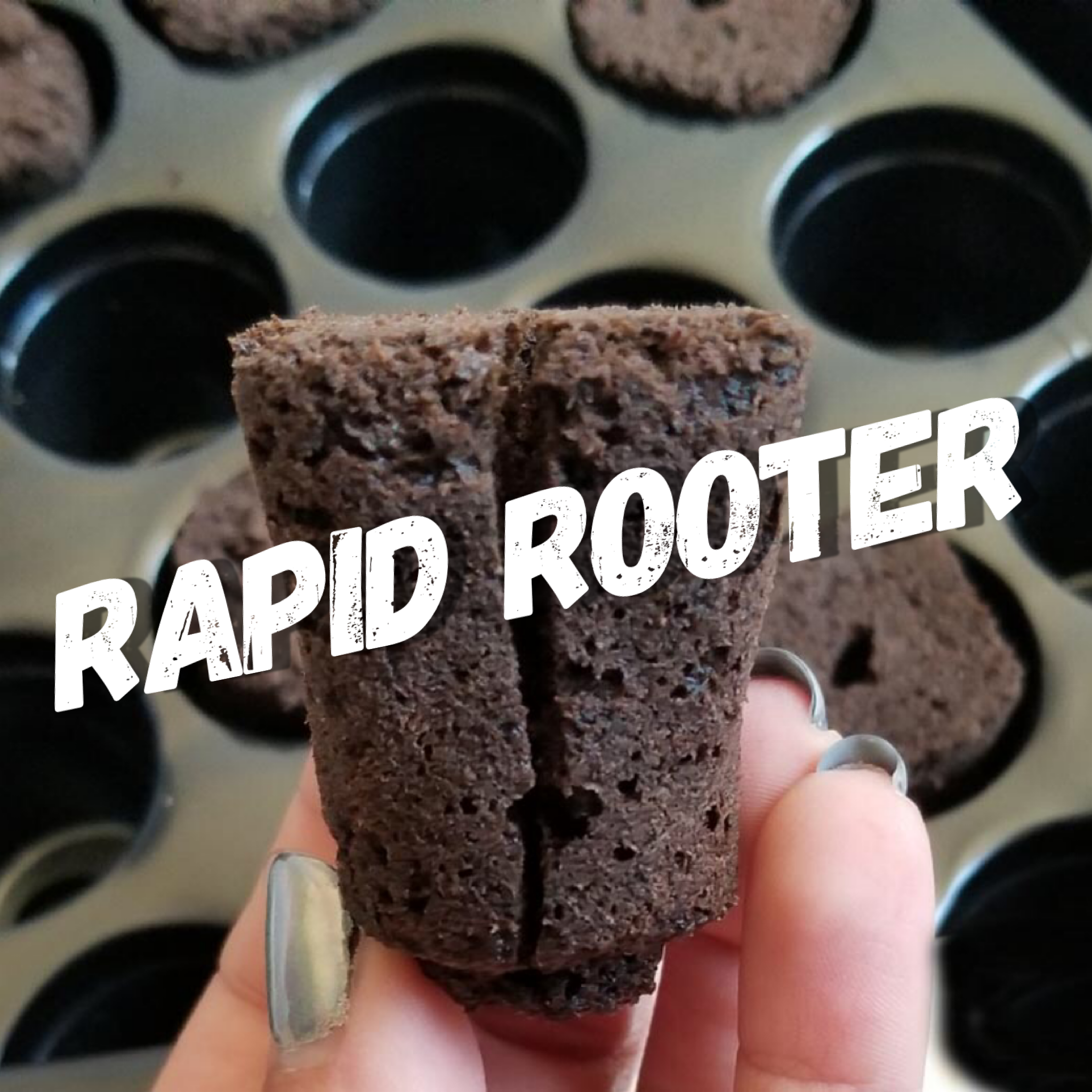 General Hydroponics Rapid Rooter의 질감과 구조