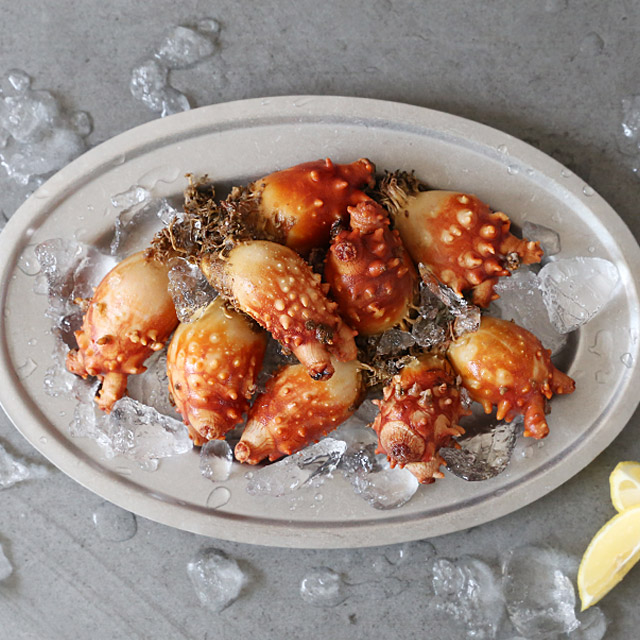 통영 산지직송 활 멍게 제철 자연산 멍게 이미지 7