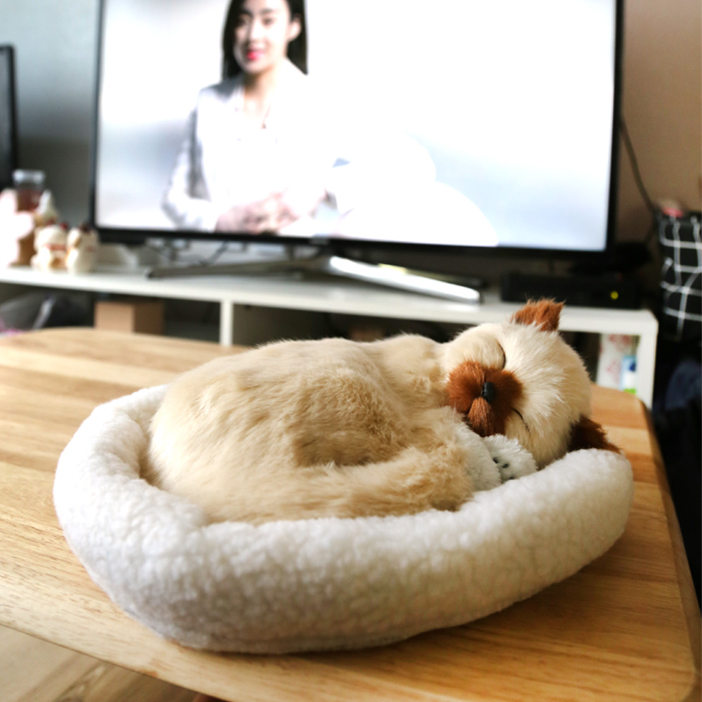 숨쉬는 인형 고양이 랙돌 - 상세 이미지 3