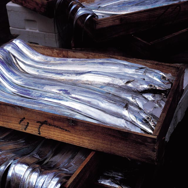 제주시수협 명품 제주 은갈치 선물세트 1.5kg 500g x 3팩 부직포가방 이바지 - 상세 이미지 3
