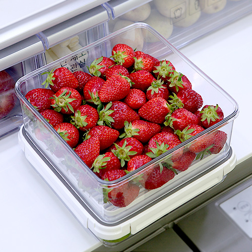 스카이락 점보 2호(깔판) 3800ml 야채 과일 수박 채반 보관용기 - 상품 이미지