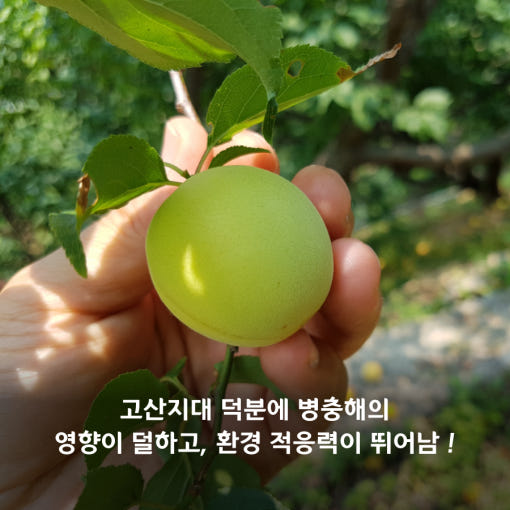 thumbnail-6