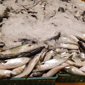 제주도 고등어 선물세트 자반 손질 간 고등어살 맛있게 먹은 솔직 후기 - 상품 이미지 3