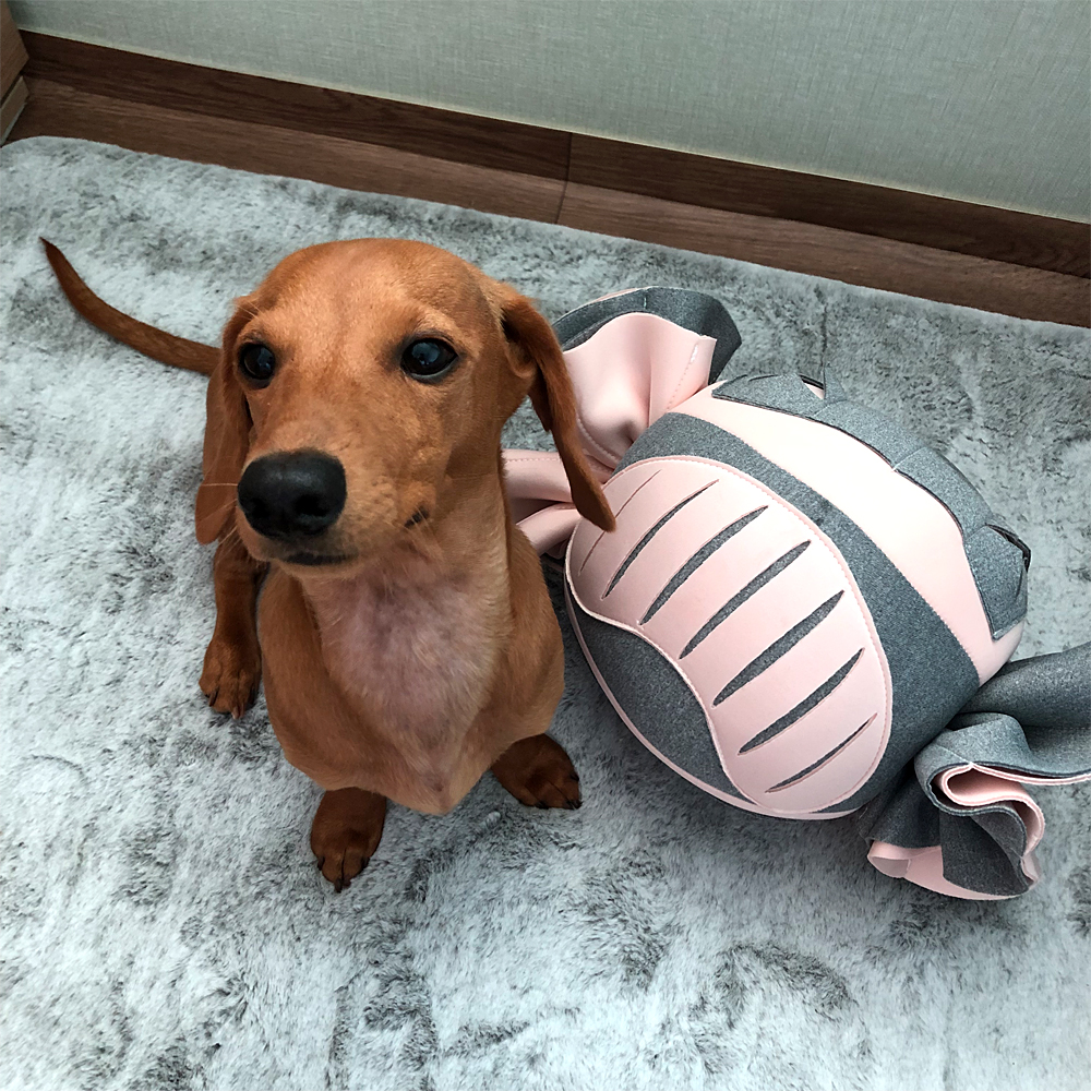 더플래 강아지 노즈워크 코박고 캔디 킁킁볼 장난감