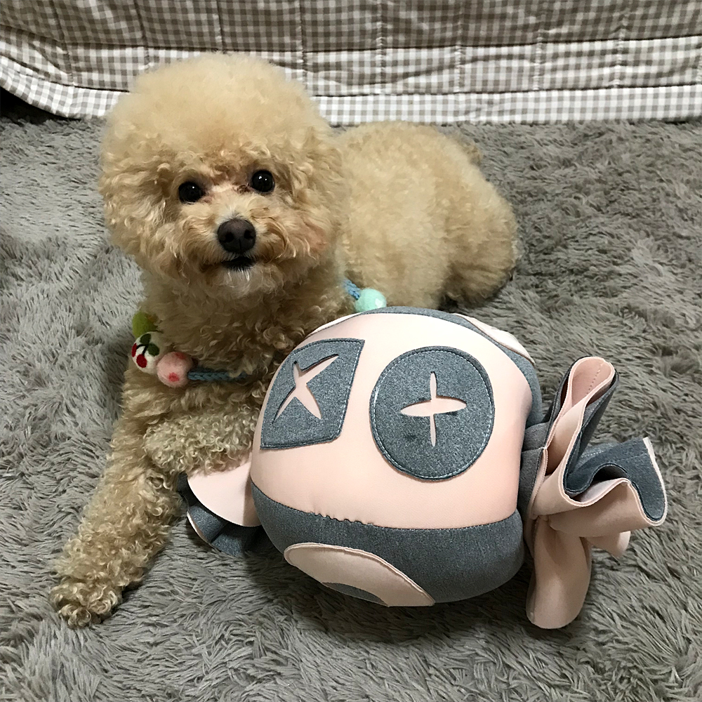 더플래 강아지 노즈워크 코박고 캔디 킁킁볼 장난감