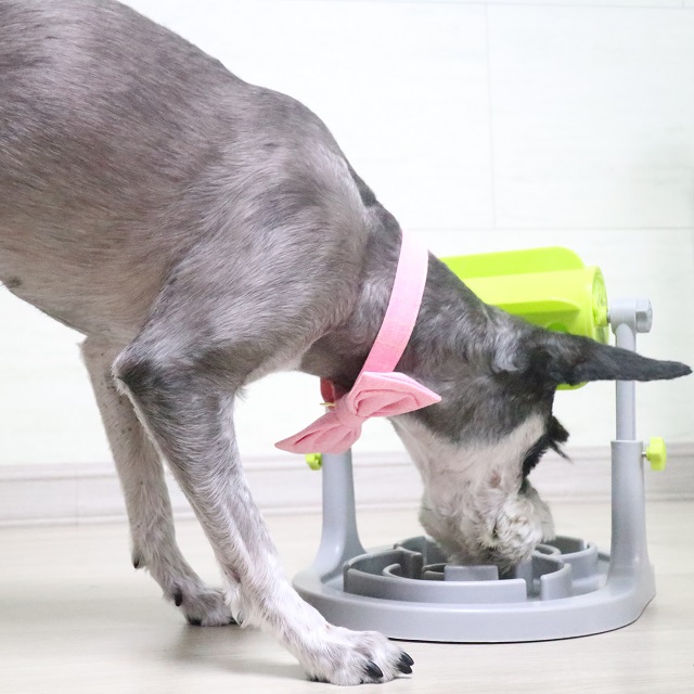 펫트너스 강아지 노즈워크 돌돌이 장난감 분리불안 훈련 공 볼