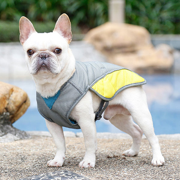 강아지 쿨조끼 고급형 S 여름옷 애견 아이스 쿨링 시원한 조끼 통기성 냉각 냉장고 얼음 소형견 대행견