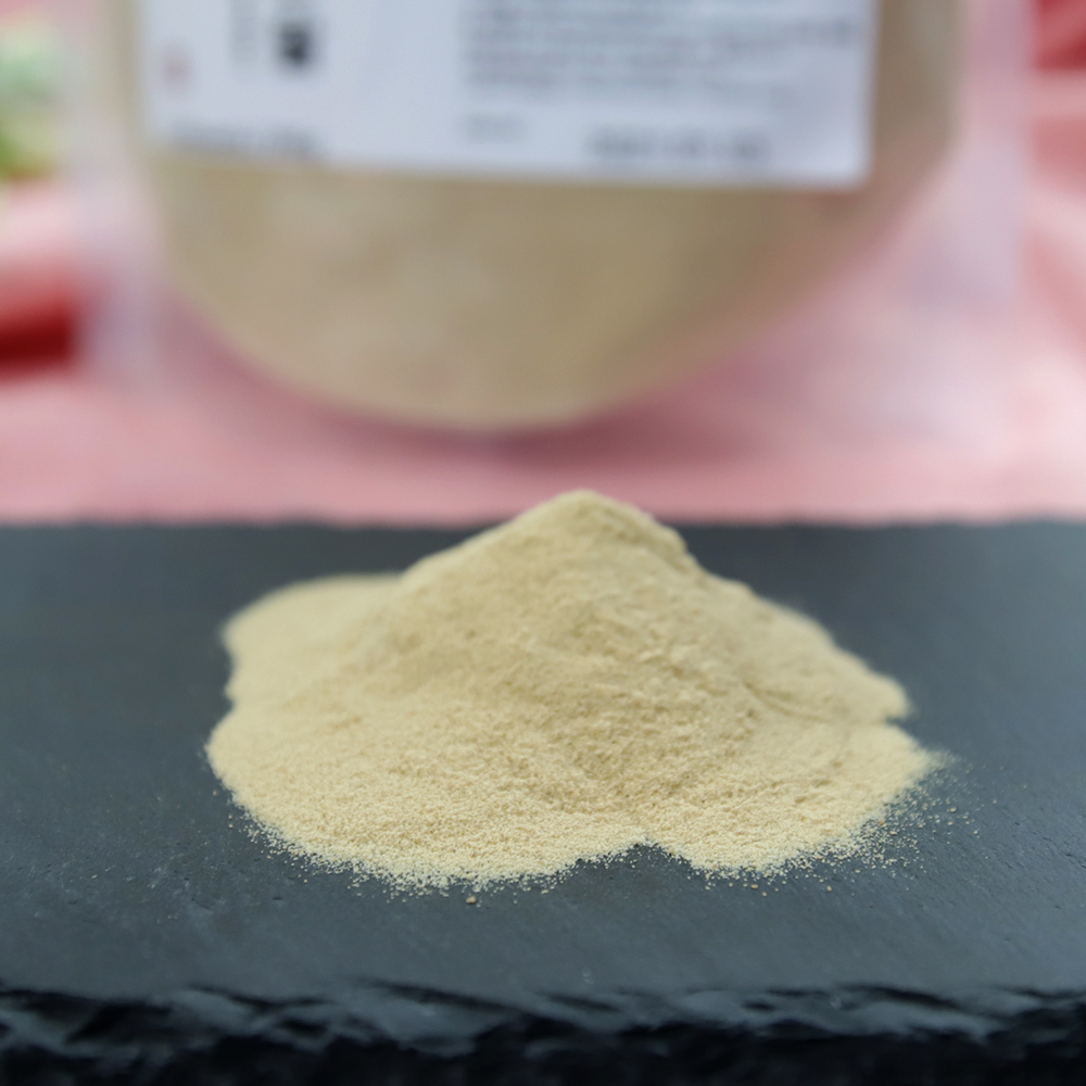 맥주효모 분말 가루 파우더 1kg 리투아니아 - 상세 이미지 4