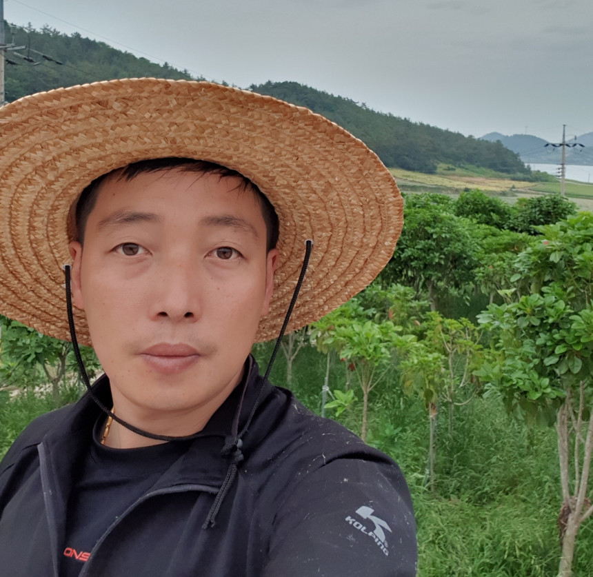 산호황칠나무농원 이미지