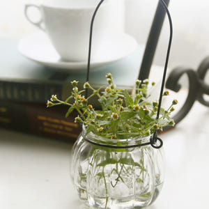 행잉 와이어 미니 글라스 유리 베이스 수경 테라리움 식물 공중 화병 꽃병 실사용 후기 | 효과 있을까? - 상품 이미지 1