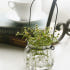 행잉 와이어 미니 글라스 유리 베이스 수경 테라리움 식물 공중 화병 꽃병 실사용 후기 | 효과 있을까? 썸네일
