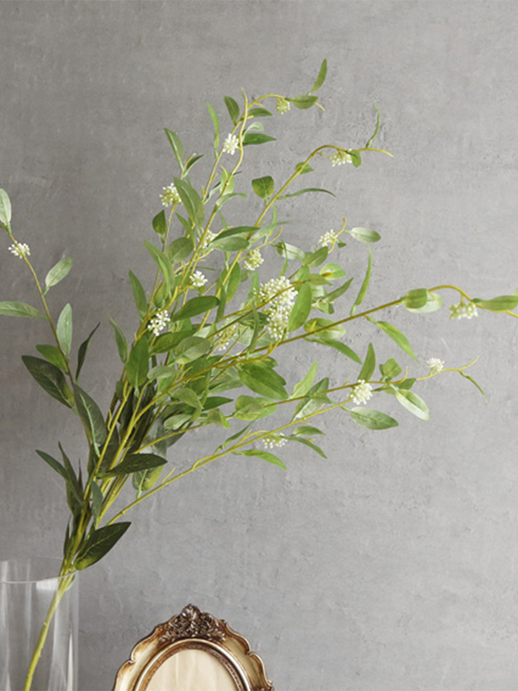 씨드 그린 긴 가지 인테리어 조화 실사용 후기 | 효과 있을까? - 대표 이미지