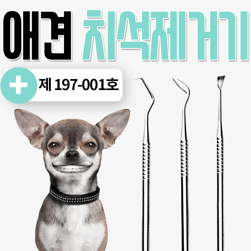 강아지 셀프 스케일링 칫솔 치석제거기 스케일러 치석제거 3세트+손가락칫솔+스틸케이스 - 상세 이미지 3