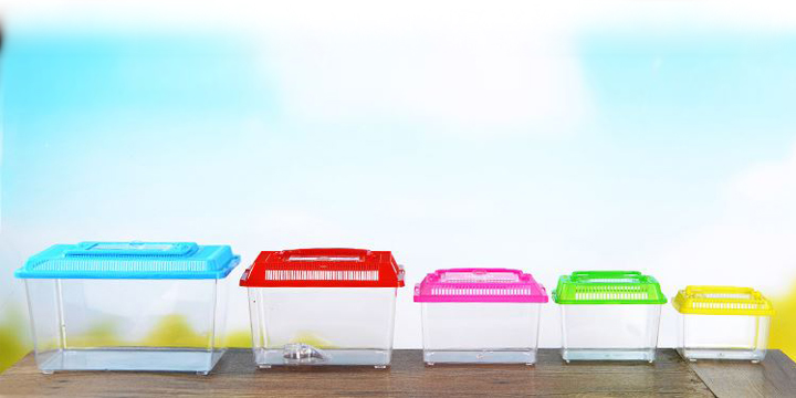 곤충채집통 1호 색상랜덤 채집상자 플라스틱 어항 물고기 작은동물 사슴벌레 햄스터 박스 이미지 3