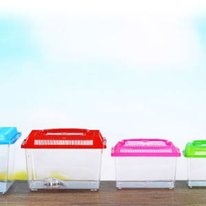 곤충채집통 1호 색상랜덤 채집상자 플라스틱 어항 물고기 작은동물 사슴벌레... 솔직 후기 | 실제 사용자 리뷰 총정리 - 상품 이미지 3