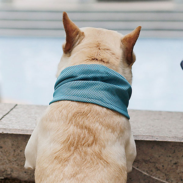 강아지 고양이 시원한 아이스 쿨 목걸이 스카프 머플러 목토시 워머 여름 냉각 넥쿨러 - 상세 이미지 2