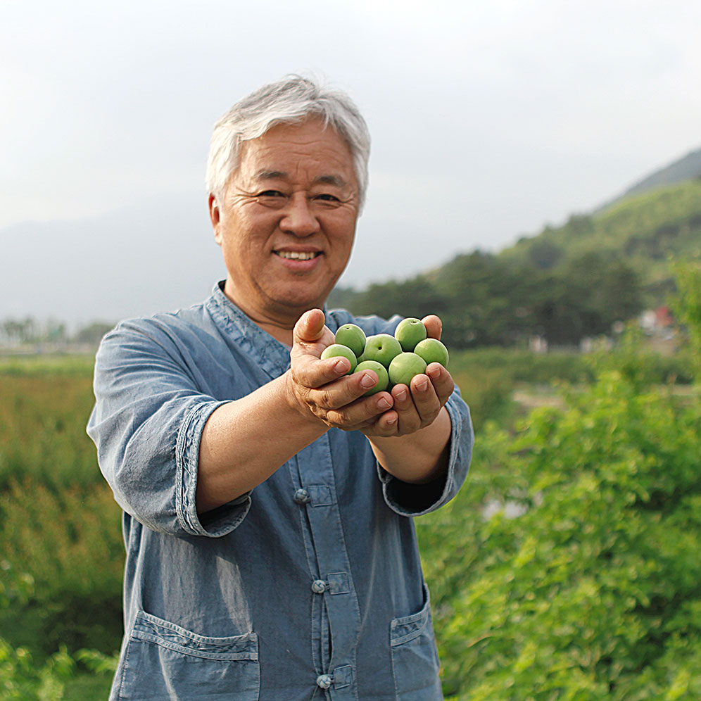 [HACCP 인증] 시골원 매실향기 매실원액 하동 매실청 625g 2병 선물세트 매실액 - 상세 이미지 5
