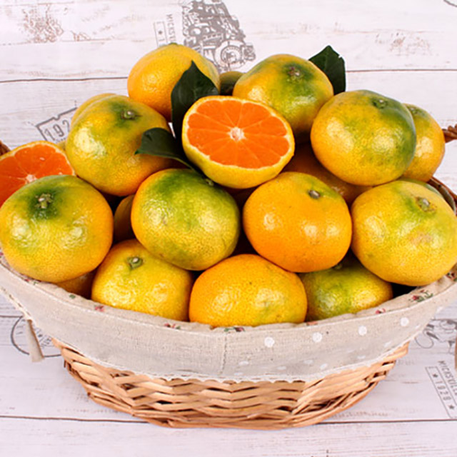 제주도 하우스감귤 3kg(실중량)