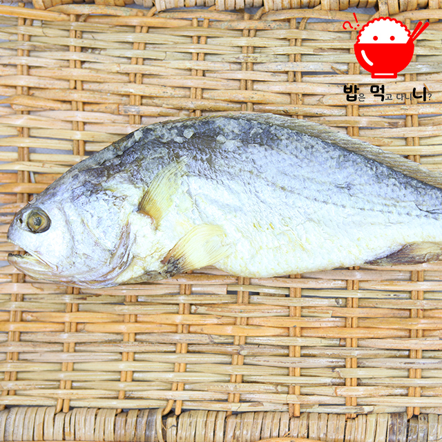 영광 법성포 명품 보리 굴비 부세 조기 세트 1kg (5미 기준) 30cm내외 이미지 8