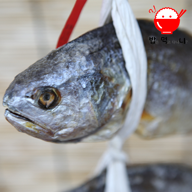 영광 법성포 명품 보리 굴비 부세 조기 세트 1kg (5미 기준) 30cm내외 - 상세 이미지 2