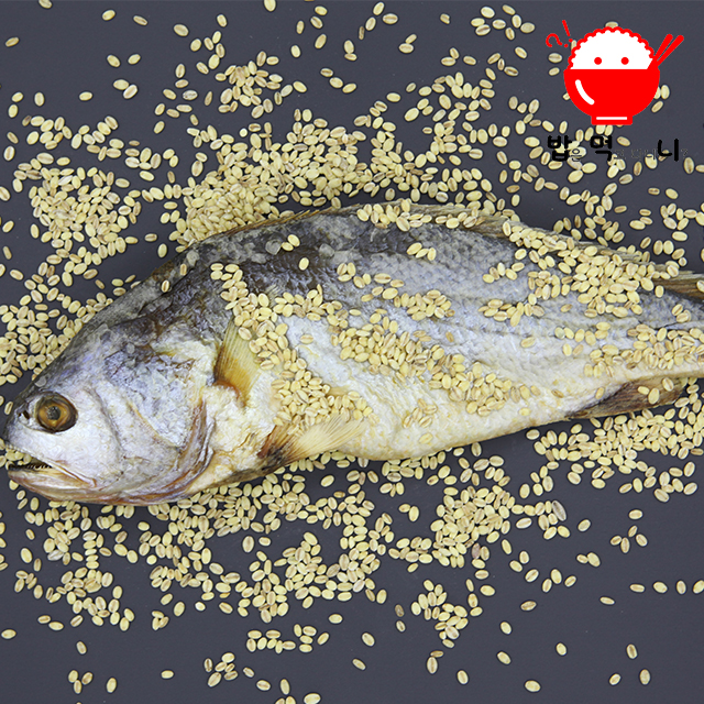 영광 법성포 명품 보리 굴비 부세 조기 세트 1kg (5미 기준) 30cm내외 - 상세 이미지 4