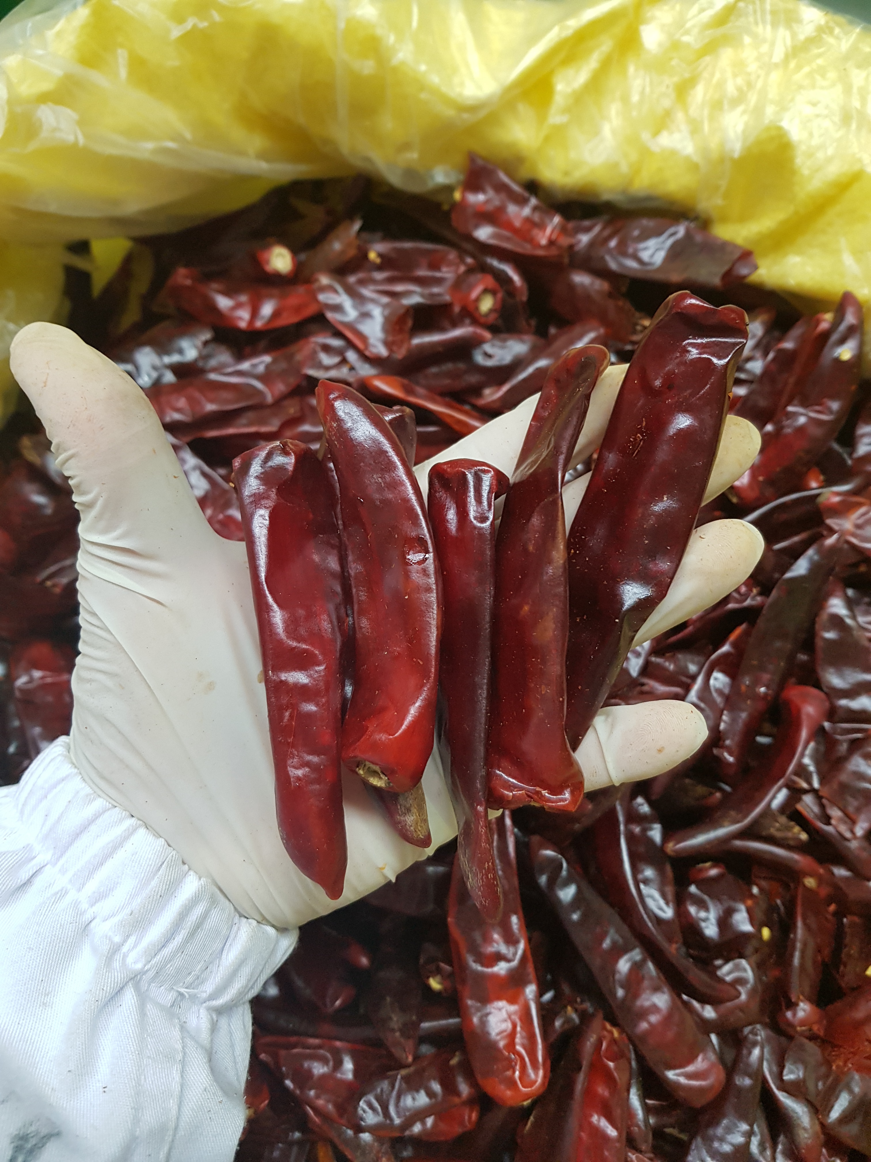 중국산 고춧가루 5kg 이미지 7
