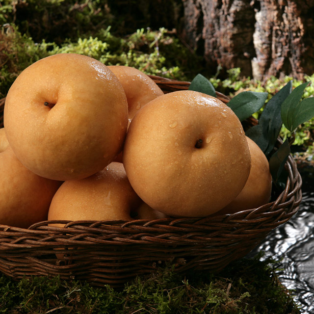 이로로 명품 배 명절 선물세트 4.5kg - 상세 이미지 5